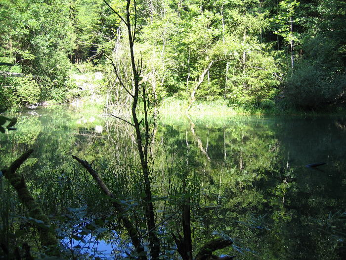 Fluehmattweiher